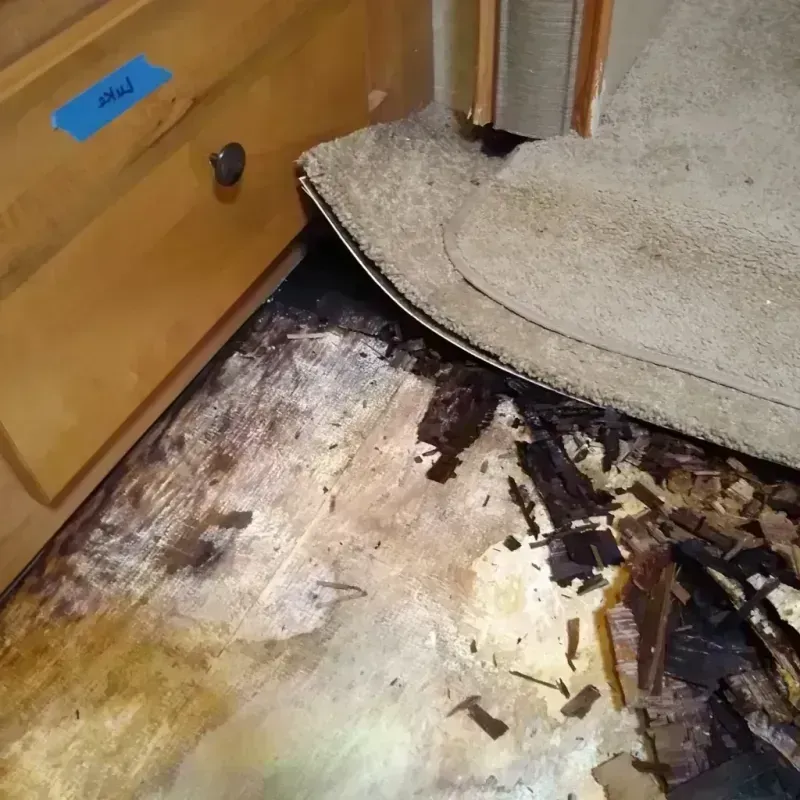 Best Wood Floor Water Damage Service in Arlington, TX